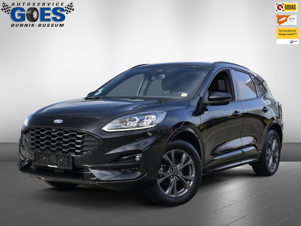 50415852